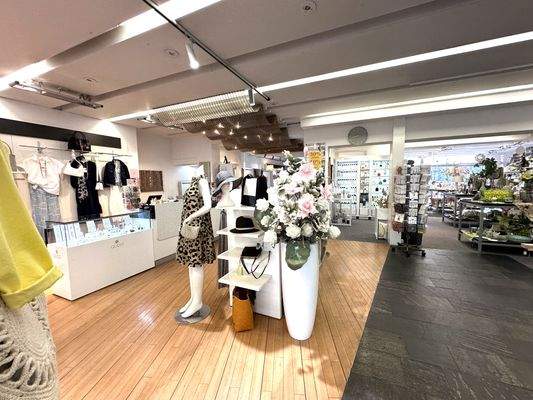 Eingangsbereich mit Kassenbereich