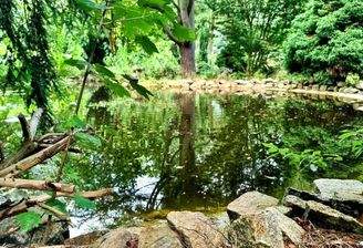 Fischteich