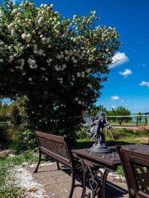 Ruhezone bei den Paddocks 8107.jpg