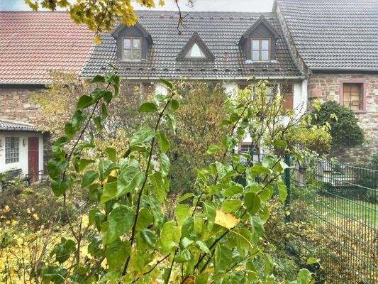 Rückansicht kleiner Garten