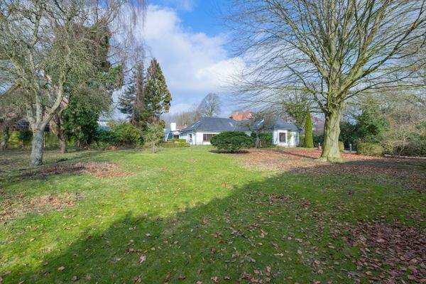 Garten mit sicht zum Haus