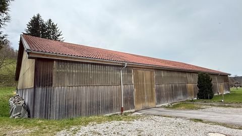 Miesbach Halle, Miesbach Hallenfläche