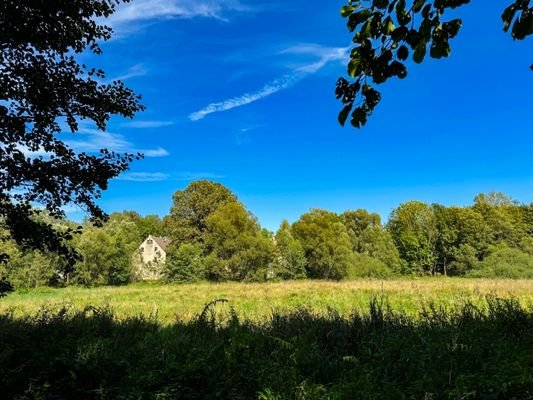 Ansicht von Süd im Sommer