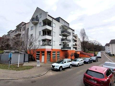 Stuttgart Halle, Stuttgart Hallenfläche