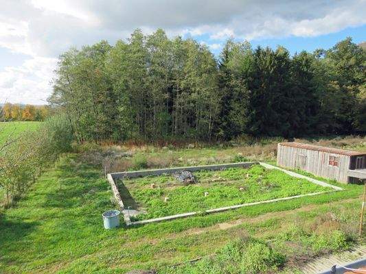 ehemaliger Gemüsegarten 