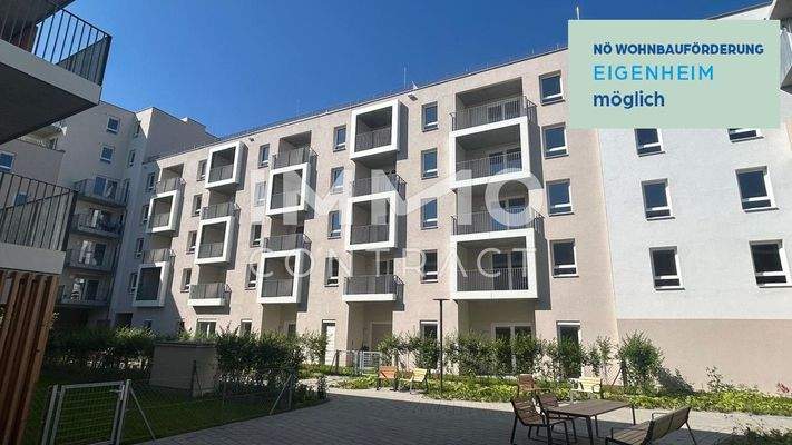 3c54e055-b93b-4f25-8b38-2a82a8e8c2fd