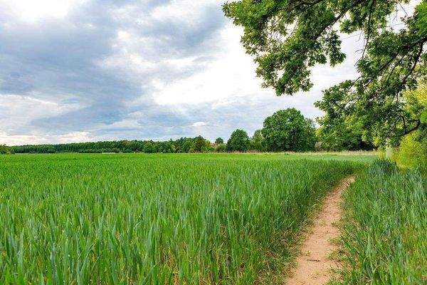 Am Sailersberg-Umgebung