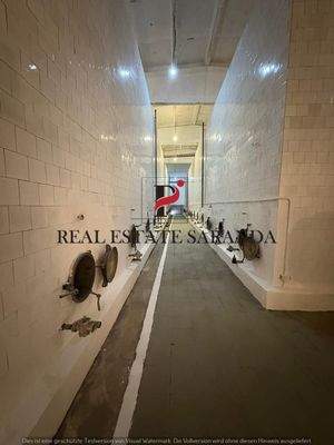 WhatsApp Image 2025-08-27 at 18.00.00.jpeg