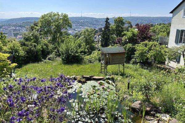 Blick von der Terrasse