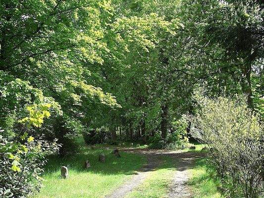 Zwischen Parkplatz u. Wohnhaus