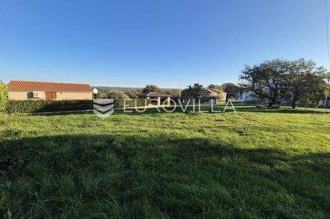 Mugeba - Valkarin Bauernhöfe, Landwirtschaft, Mugeba - Valkarin Forstwirtschaft