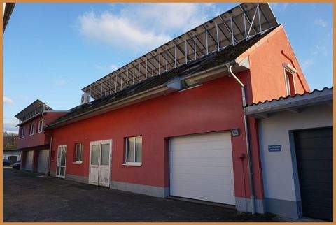 Biberach Halle, Biberach Hallenfläche