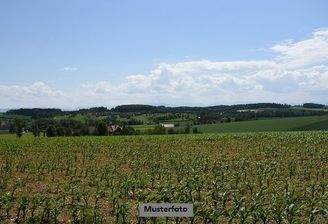 Keine Originalbilder