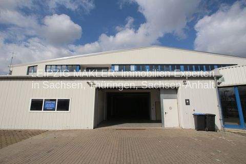 Kabelsketal Halle, Kabelsketal Hallenfläche