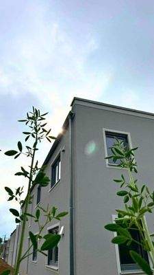 20250602 Nabburg EF (5) - bearbeitet.jpg