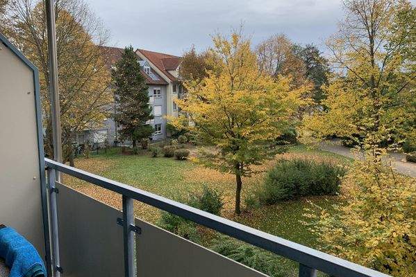 Unverbaubare Aussicht in die Natur