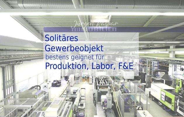 Blick in die Halle (1)