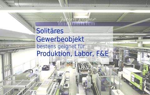 Nürnberg Halle, Nürnberg Hallenfläche