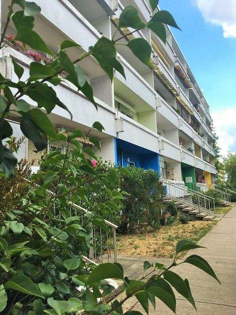 Dessau-Roßlau Wohnungen, Dessau-Roßlau Wohnung mieten