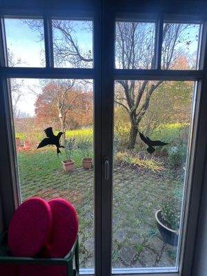 Einliegerwohnung Blick in Garten