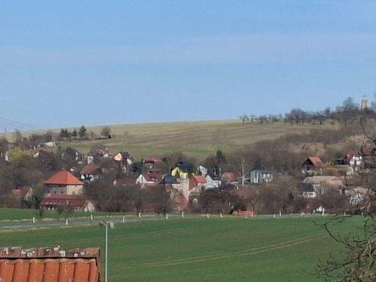 Blick zur Wasserburg Kapellendorf