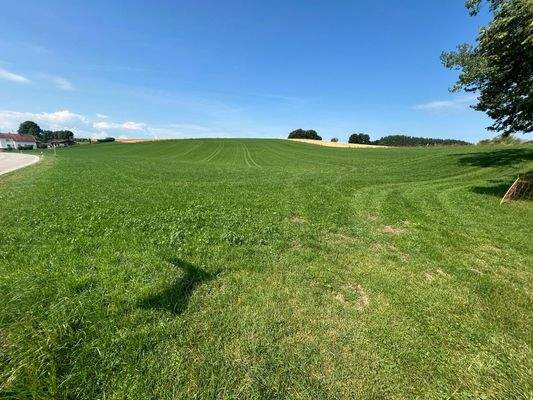 Blick von Heilham aus