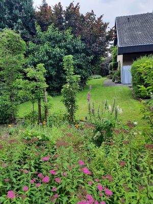 Gartenimpressionen