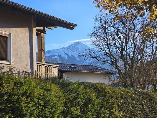 Traumblick - Kopie.jpg