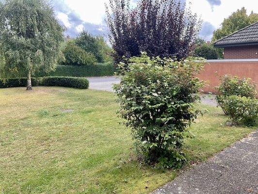 Grundstück vor dem Haus