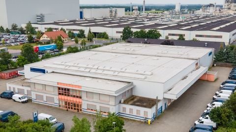 Lampertswalde Halle, Lampertswalde Hallenfläche