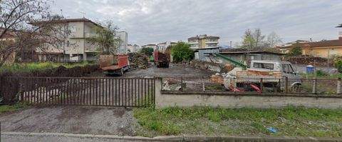 Olympische Riviera Bauernhöfe, Landwirtschaft, Olympische Riviera Forstwirtschaft