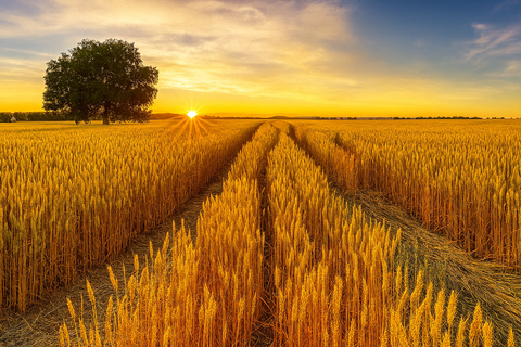 Wildenberg Grundstücke, Wildenberg Grundstück kaufen