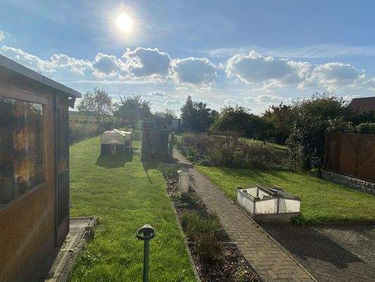 Blick in den Garten