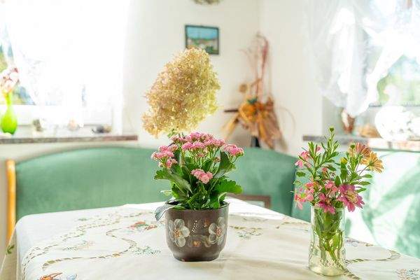 lichdurchflutete Räume