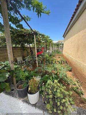 WhatsApp Image 2025-08-05 at 15.15.06 (3).jpeg