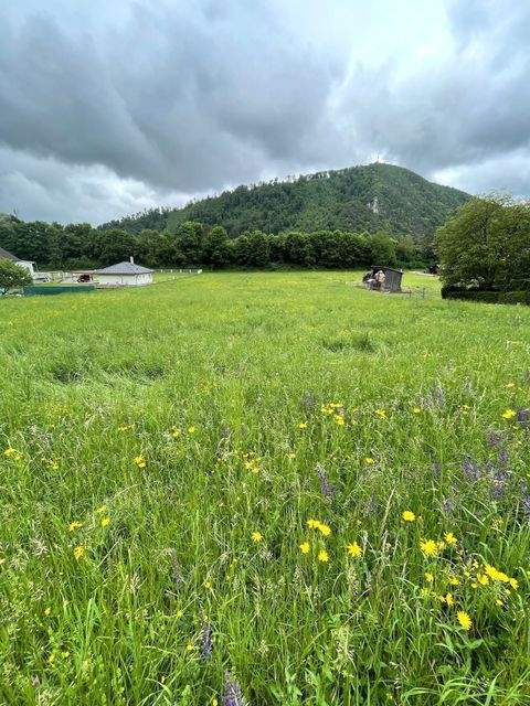 Gratkorn Grundstücke, Gratkorn Grundstück kaufen