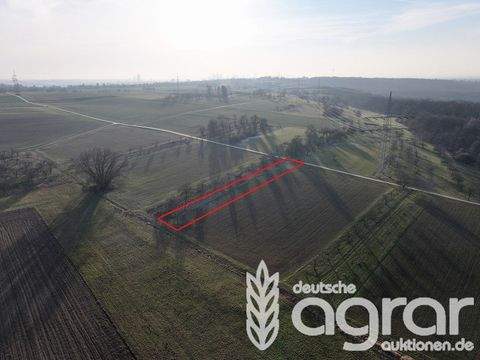 Frankfurt am Main Bauernhöfe, Landwirtschaft, Frankfurt am Main Forstwirtschaft