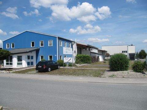 Büren Halle, Büren Hallenfläche