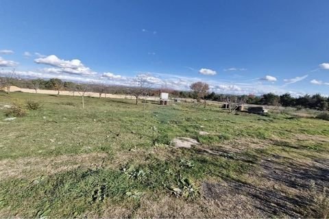 Sveti Filip i Jakov Bauernhöfe, Landwirtschaft, Sveti Filip i Jakov Forstwirtschaft