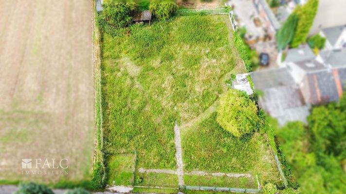 Ansicht von oben (vorne)