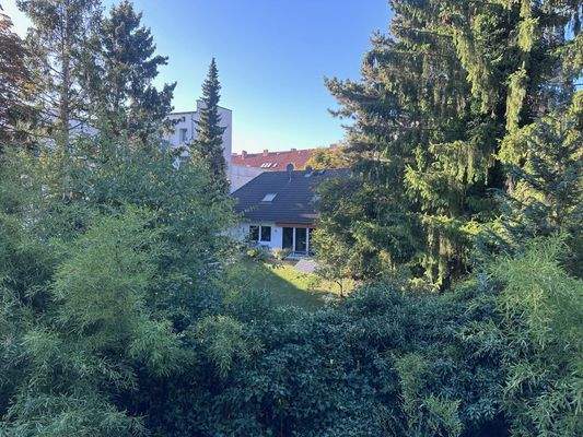 Dieterichsstraße 35 B, Ausblick und Nachbar 05.jpg