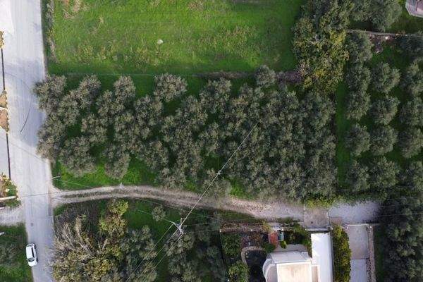 Kreta, Kalyves: Grundstück mit bezauberndem Meerblick zu verkaufen, nur wenige Schritte vom Strand entfernt