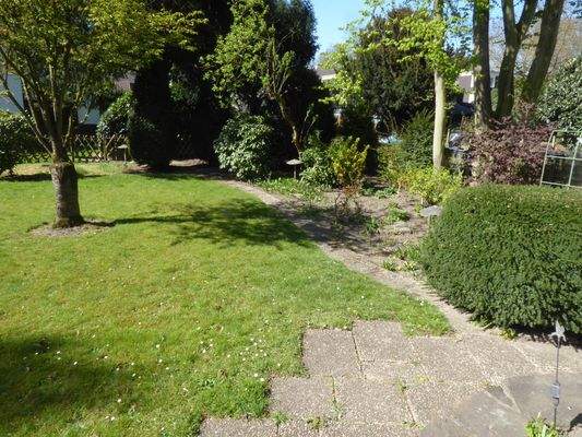 Blick in die Natur Teil II 