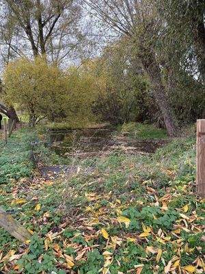 Teiche und Bachlauf in unmittelbarer Nähe