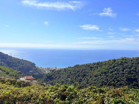 CA_514_TERRA_ITALIA_IMMOBILIEN_LIGURIEN_CAMPOROSSO