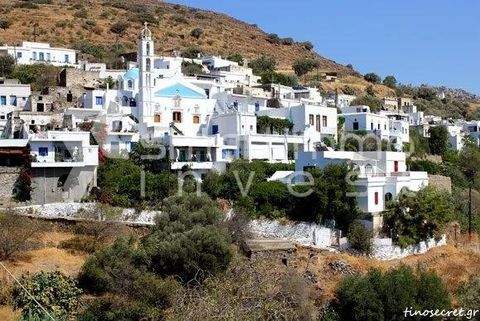 Agapi, Tinos Bauernhöfe, Landwirtschaft, Agapi, Tinos Forstwirtschaft