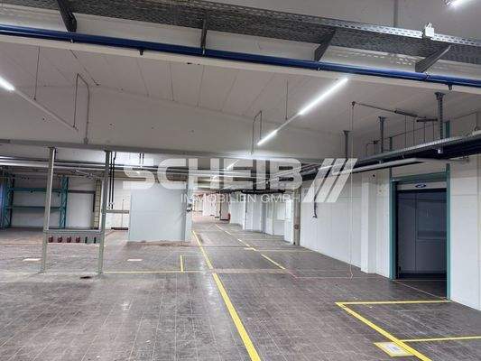 frei gespannte Fläche