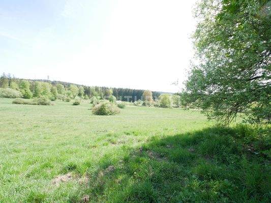 Direkt am Haus - Feldweg zum Naturschutzgebiet