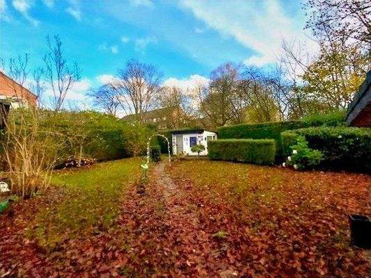 Im naturnahen Garten dienen Hecken als Sichtschutz