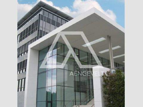 Schwalbach am Taunus Büros, Büroräume, Büroflächen 